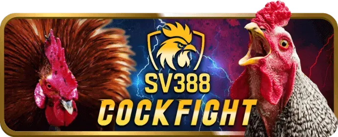 Tính năng bảo mật 33win1 Code
